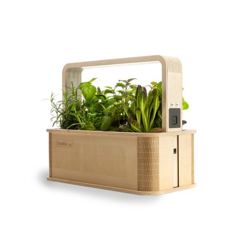 Indoor Kräuterbox