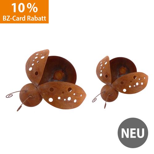 Marienkäfer 2er-Set - Edelrost
