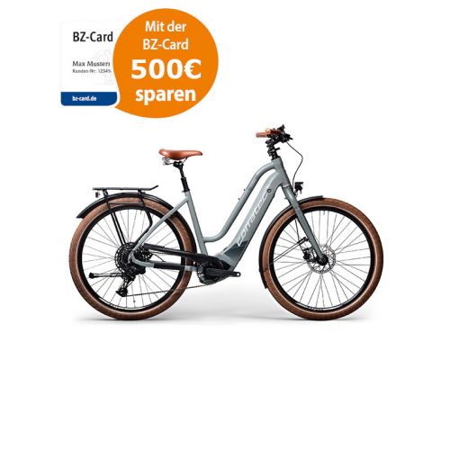 E-Bike Damen City-/Trekkingrad